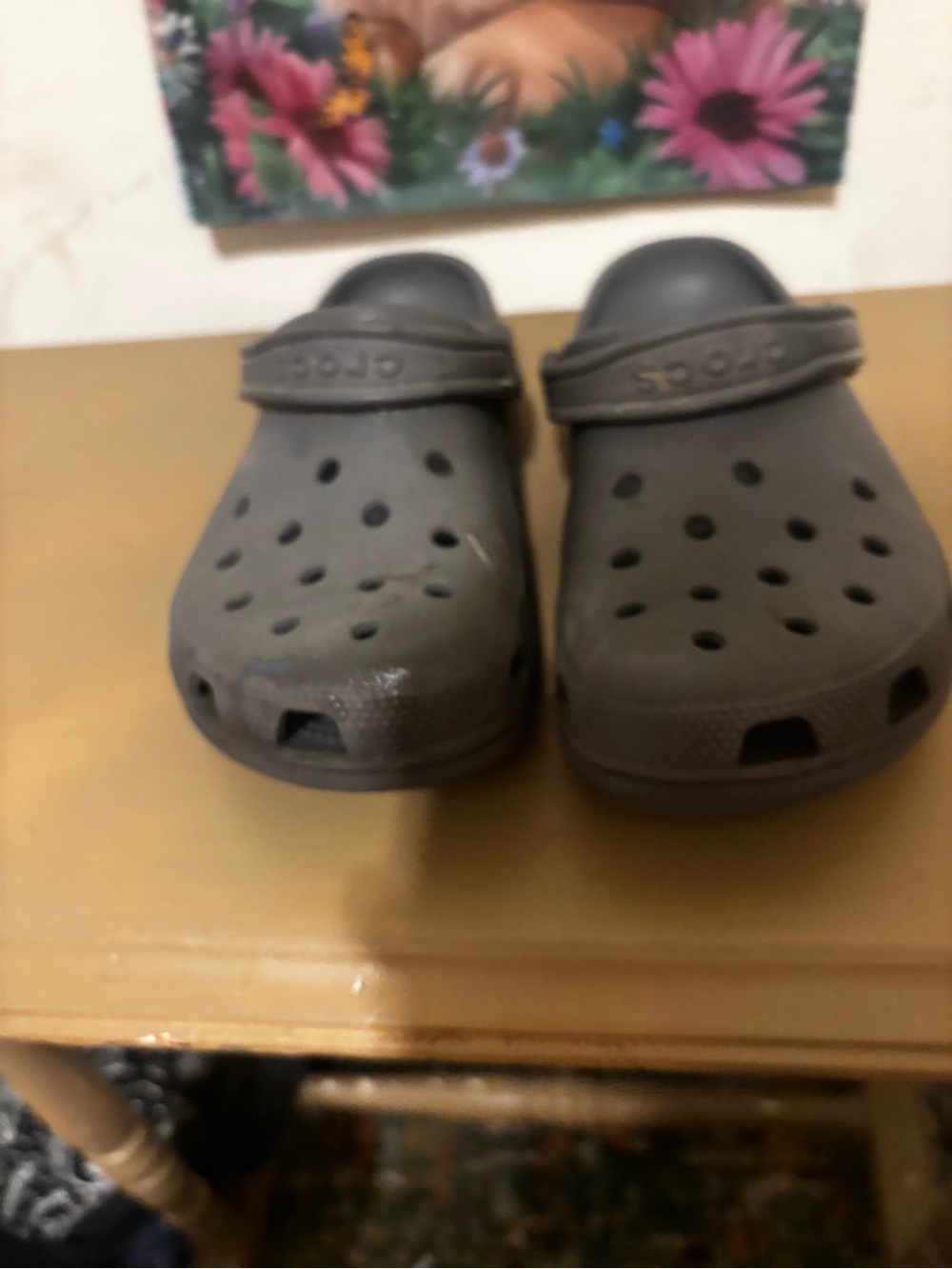 CROCS Classic Unisex Clog in Gray 6/8
